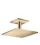 AXOR-HG-AXOR-ShowerSolutions-Kopfbrause-300-300-1jet-mit-Deckenanschluss-Brushed-Bronze-35316140 gallery number 1